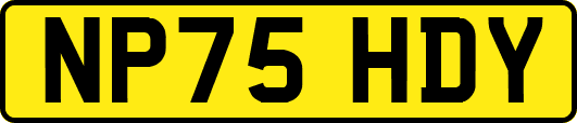 NP75HDY