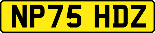 NP75HDZ