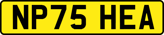 NP75HEA