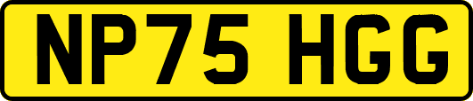 NP75HGG