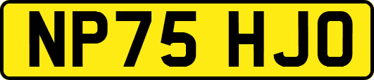 NP75HJO