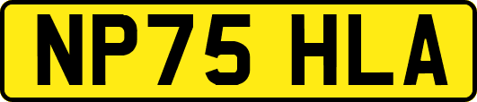 NP75HLA