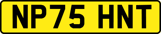 NP75HNT