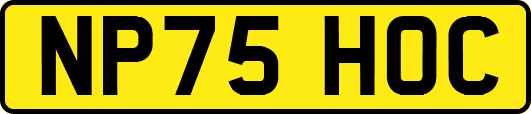 NP75HOC