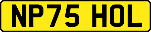 NP75HOL