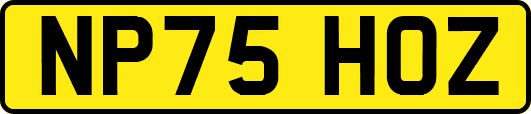 NP75HOZ
