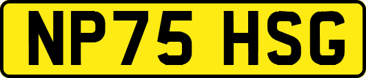 NP75HSG