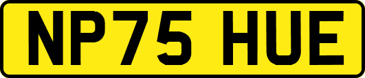 NP75HUE