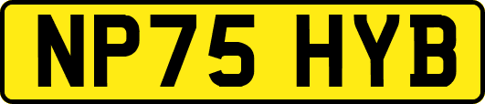 NP75HYB
