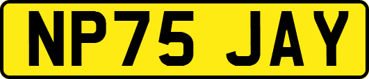 NP75JAY
