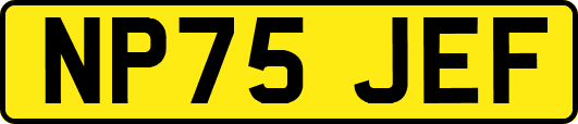NP75JEF