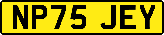 NP75JEY