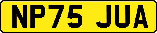 NP75JUA