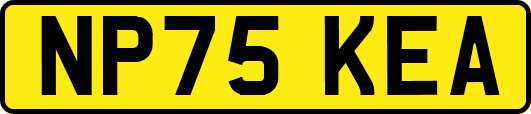 NP75KEA