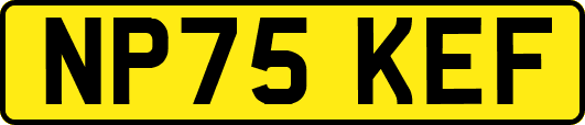 NP75KEF
