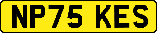 NP75KES