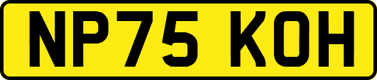 NP75KOH