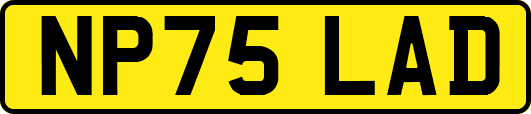 NP75LAD