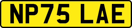 NP75LAE