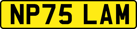 NP75LAM