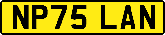 NP75LAN