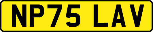 NP75LAV