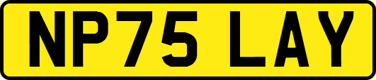 NP75LAY