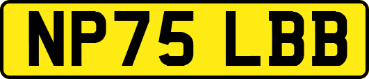 NP75LBB