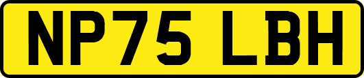 NP75LBH