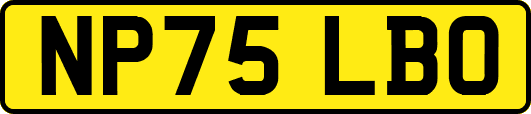 NP75LBO