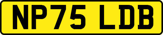 NP75LDB
