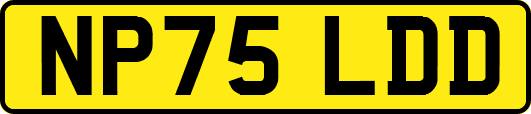 NP75LDD