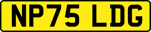 NP75LDG