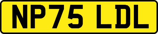 NP75LDL