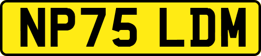 NP75LDM