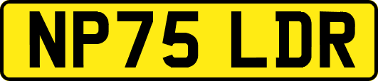 NP75LDR
