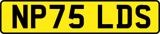 NP75LDS