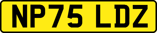 NP75LDZ