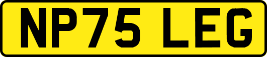 NP75LEG