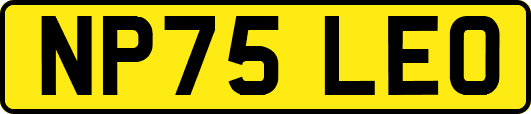 NP75LEO