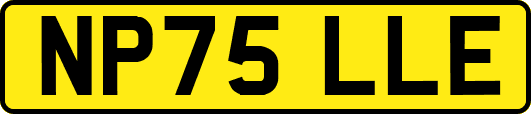 NP75LLE