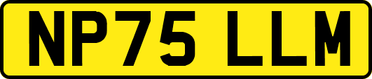 NP75LLM