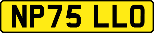 NP75LLO