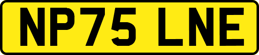 NP75LNE