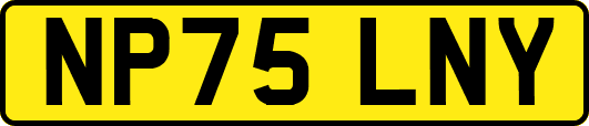 NP75LNY