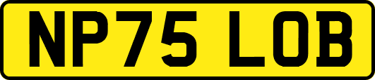 NP75LOB