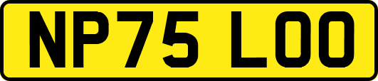 NP75LOO