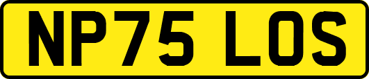 NP75LOS