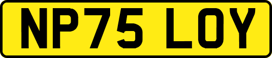 NP75LOY