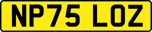NP75LOZ